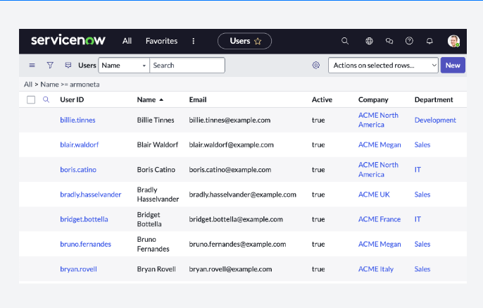 ServiceNow provides access to data through records and fields within tables.